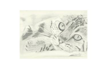 Print of Figurative Cats Drawings by Lisa Andrews