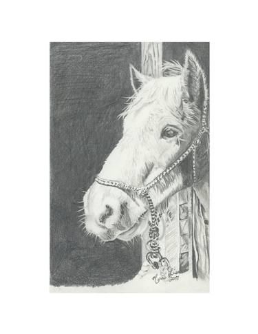 Print of Fine Art Horse Drawings by Lisa Andrews