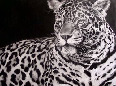 Print of Realism Animal Drawings by Paul Mwamba