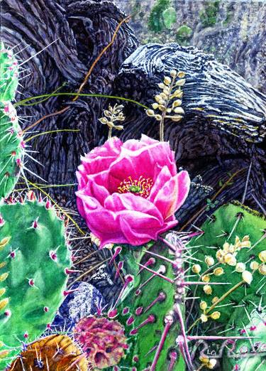 Original Photorealism Nature Paintings by Robert LaRose