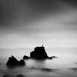 The bird, Manazuru by Francesco Libassi
