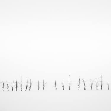 Eighteen sticks in the snow, Parma, Italy - Limited Edition of 5 thumb
