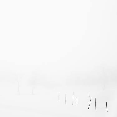 Ten sticks in the snow, Parma, Italy - Limited Edition of 5 thumb