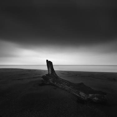 Tree trunk on the beach after the storm - Limited Edition of 5 thumb