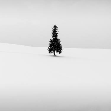 Christmas Tree, Biei, Hokkaido - Limited Edition of 5 thumb