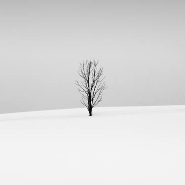 Lone tree in the snow, Biei - Limited Edition of 5 thumb
