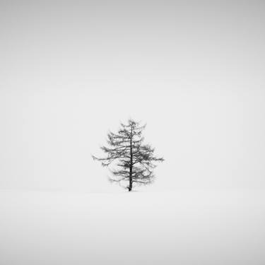 Tree in a snow storm, Biei - Limited Edition of 5 thumb