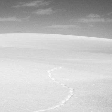 Animal footprints in the snow, Hokkaido thumb