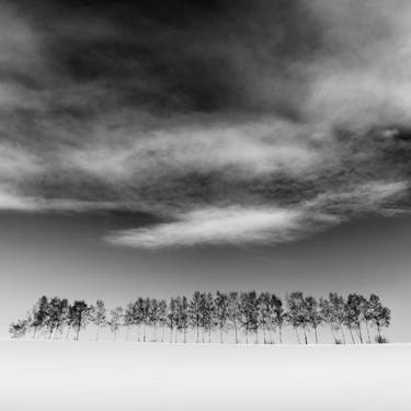 Trees and sky, Hokkaido thumb