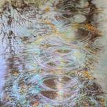 Fragments of Light and Aquatic Echoes by Nadine Pillon