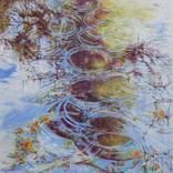 Diluting the trees by Nadine Pillon