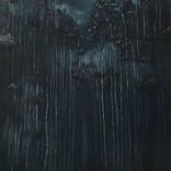 Dark Forest by Laetitia Dufour