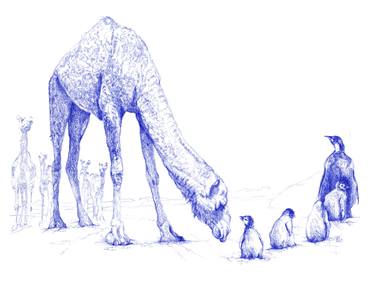 Original Figurative Animal Drawings by Amaury d'Andigné