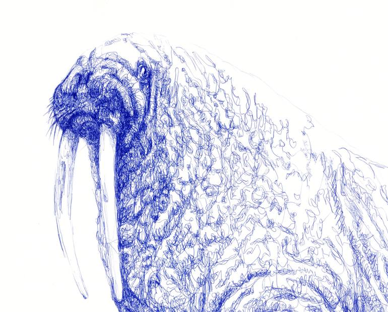 Original Animal Drawing by Amaury d'Andigné
