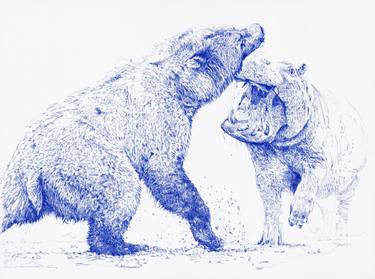 Original Figurative Animal Drawings by Amaury d'Andigné