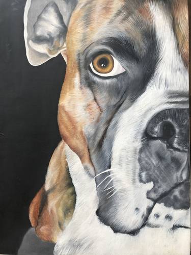 Print of Fine Art Dogs Paintings by Jasdeep Asija