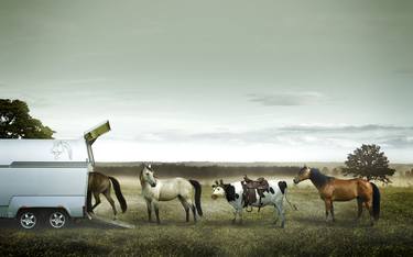 Original Conceptual Horse Photography by Raf Willems