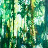 Green Summer Forest (2026.18) by Randall Mattheis