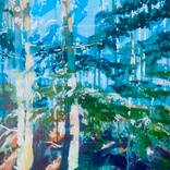 Sunlit Forest (2026.22) by Randall Mattheis