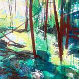 Shadow Trees (2026.25) by Randall Mattheis