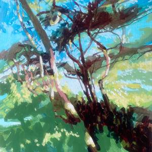 Pines on a Ridge 2026.53