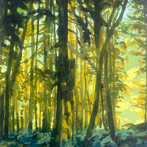 Olympic Rain Forest 2026.59