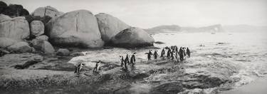 Penguins, South Africa - Limited Edition 4 of 25 thumb