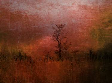 Original Abstract Landscape Photography by Srdjan Jevtic