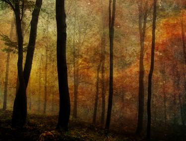 Original Landscape Photography by Srdjan Jevtic