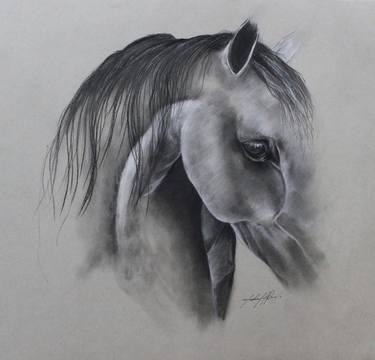Original Realism Horse Drawings by Michael A Davis
