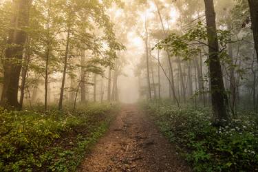 Smoky Mountain Adventure thumb