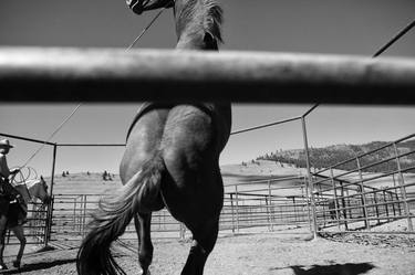 Unbroken - Archival Silver Gelatin Print Limited Edition of 20 thumb