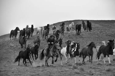 Original Documentary Horse Photography by Landry Major
