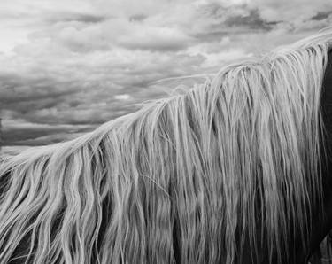 Mane and Sky thumb