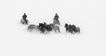 Original Horse Photography by Landry Major