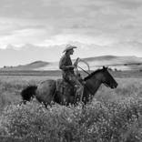 Collection Southwest Art
