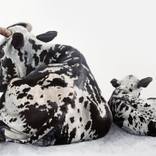 Maluku and Calf by Amelda van Tonder