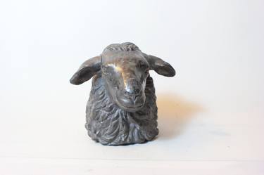 Young sheep portrait thumb