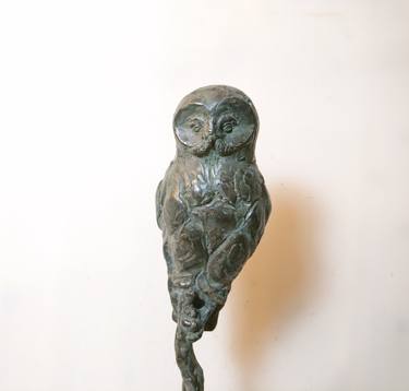 Gray owl thumb