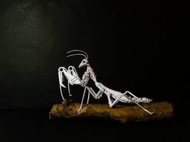 Paper Praying Mantis #1 thumb