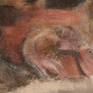 detail #1