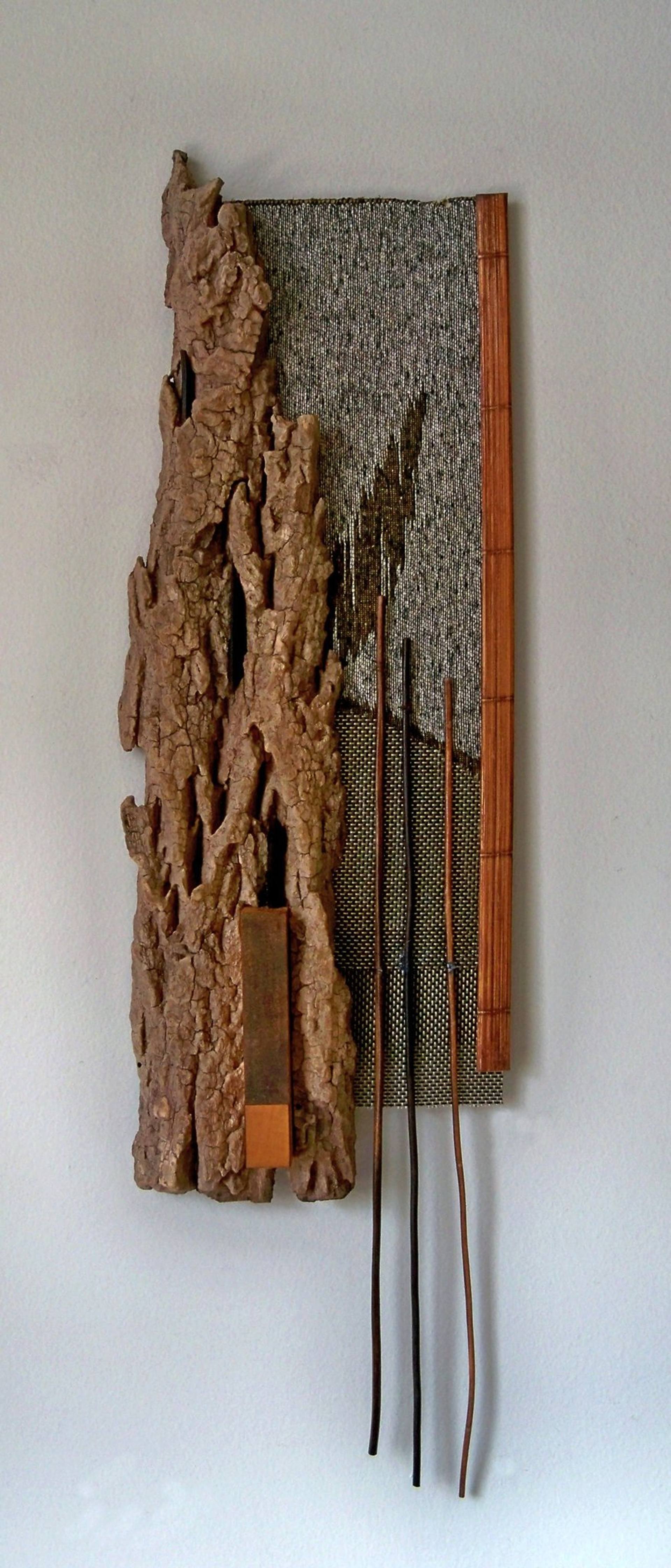 bark composition #3 Sculpture by J Thomas Wells | Saatchi Art