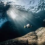 Spotlight by Joanna Lentini
