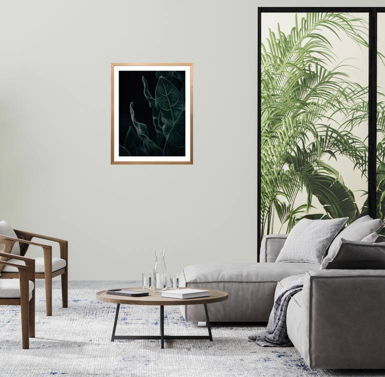 Original Documentary Botanic Photography by Joanna Lentini