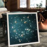 Daydream by Joanna Lentini