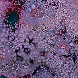 Untitled #792 by Keith Petersen