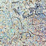 Remains of the Day - metal shavings - Limited Edition 2 of 9 by Emilio Cresciani