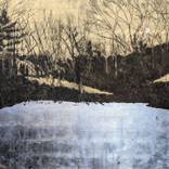 Winter Pond by Helen Gotlib