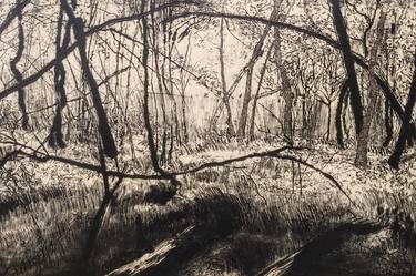 Original Landscape Printmaking by Helen Gotlib