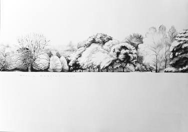 Original Fine Art Landscape Drawings by Gavrilas Florin